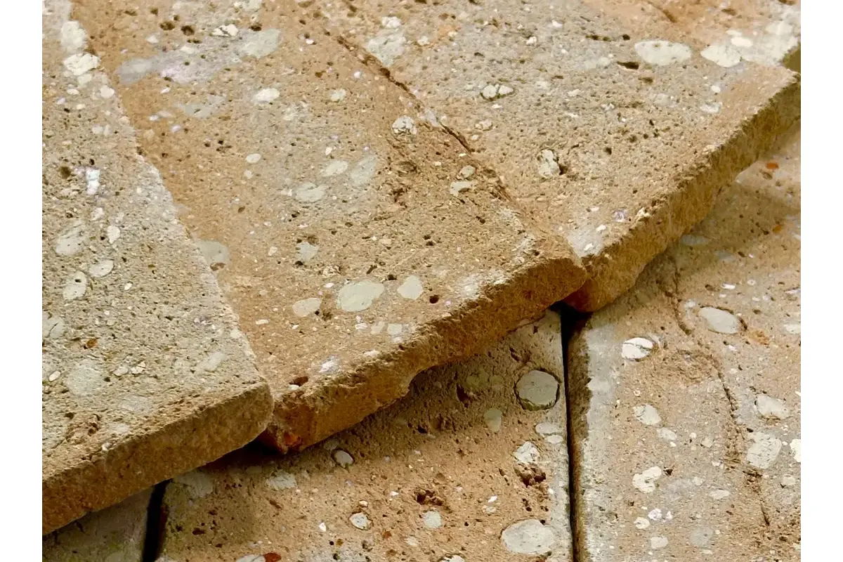 Eco Palha - Imagem 3