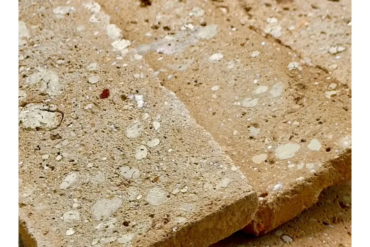 Eco Palha - Imagem 1