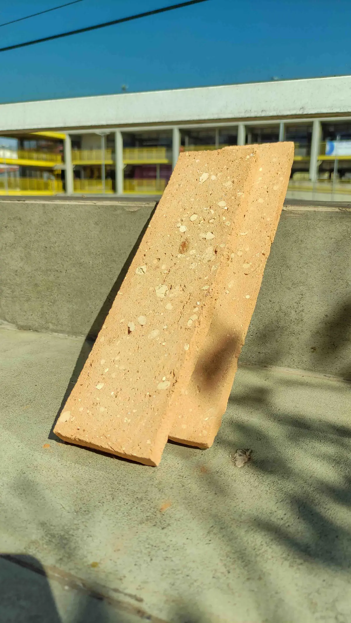 Eco Palha - Imagem 11